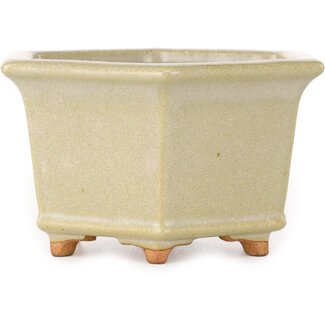  Hattori Tomoyuki 128 mm hexagonal off-white bonsai pot by Hattori, Tokoname, Japan