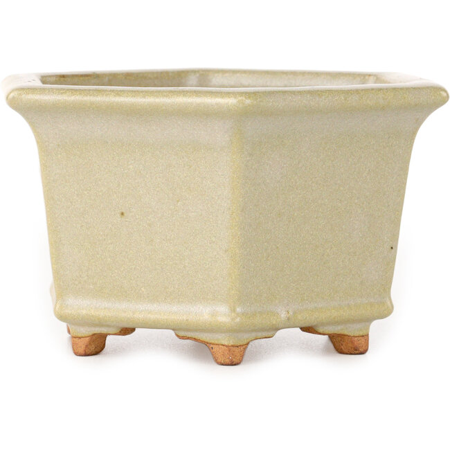 Pot à bonsaï hexagonal blanc cassé de Hattori - 128 x 128 x 70 mm