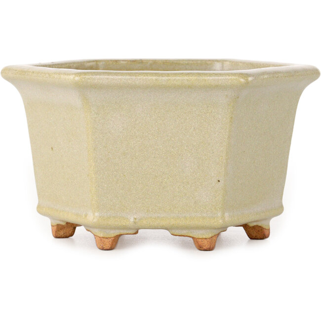 Vaso bonsai esagonale bianco sporco di Hattori - 128 x 128 x 70 mm