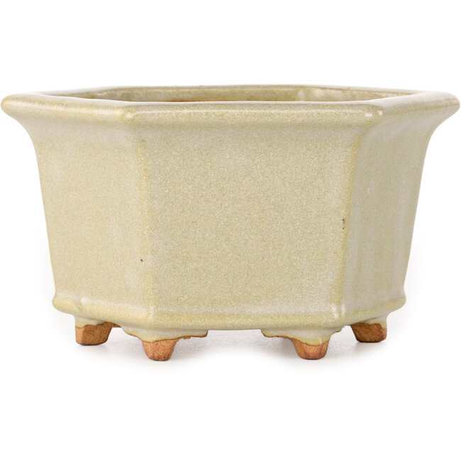 Vaso bonsai esagonale bianco sporco di Hattori - 128 x 128 x 70 mm