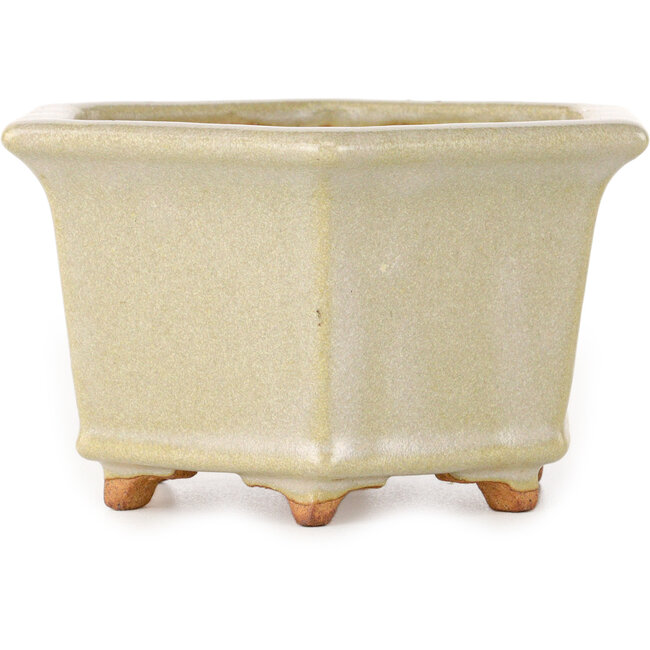 Zeshoekige, gebroken witte bonsaipot van Hattori - 128 x 128 x 70 mm
