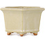 Hexagonal off-white bonsai pot by Hattori - 128 x 128 x 70 mm