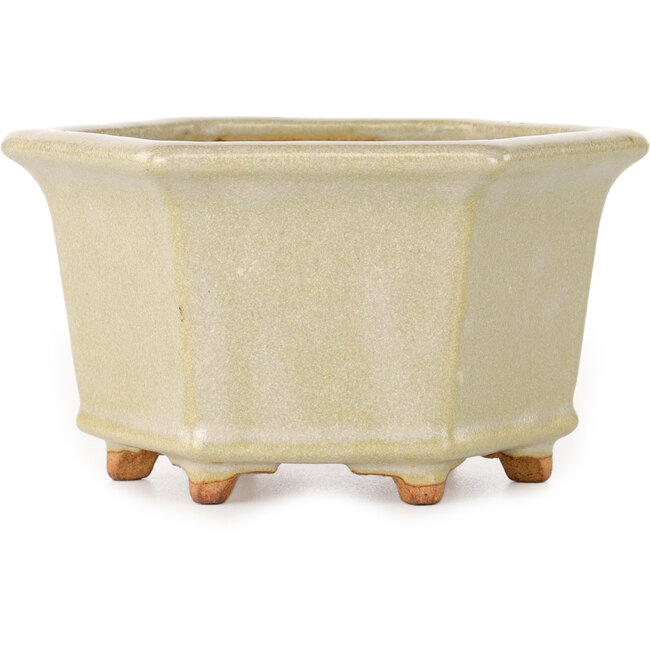 Zeshoekige, gebroken witte bonsaipot van Hattori - 128 x 128 x 70 mm