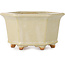 Pot à bonsaï hexagonal blanc cassé de Hattori - 128 x 128 x 70 mm
