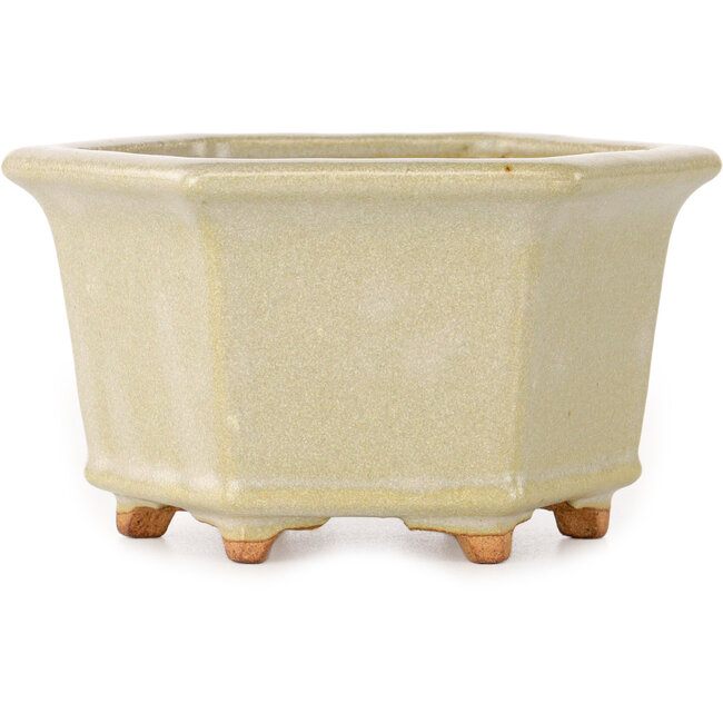 Pot à bonsaï hexagonal blanc cassé de Hattori - 128 x 128 x 70 mm