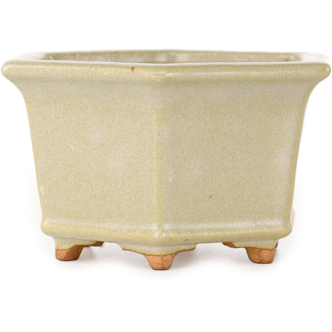 Zeshoekige, gebroken witte bonsaipot van Hattori - 128 x 128 x 70 mm