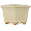 Hexagonal off-white bonsai pot by Hattori - 128 x 128 x 70 mm