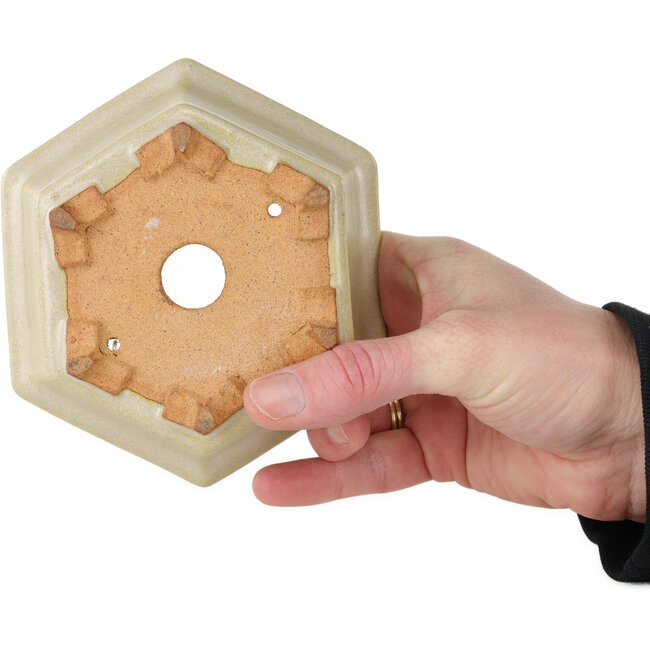 Pot à bonsaï hexagonal blanc cassé de Hattori - 128 x 128 x 70 mm