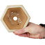 Pot à bonsaï hexagonal blanc cassé de Hattori - 128 x 128 x 70 mm