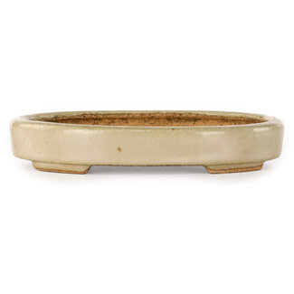  Hattori Tomoyuki Pot à bonsaï ovale blanc cassé de 140 mm, par Hattori, Tokoname, Japon