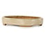 Oval off-white bonsai pot by Hattori - 140 x 107 x 23 mm