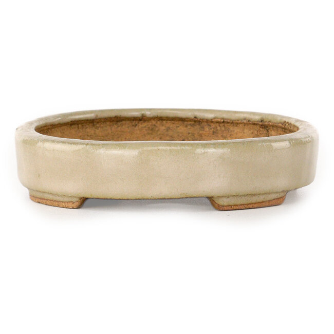 Ovaler, cremefarbener Bonsai-Topf von Hattori – 140 x 107 x 23 mm