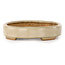 Ovale, gebroken witte bonsaipot van Hattori - 140 x 107 x 23 mm