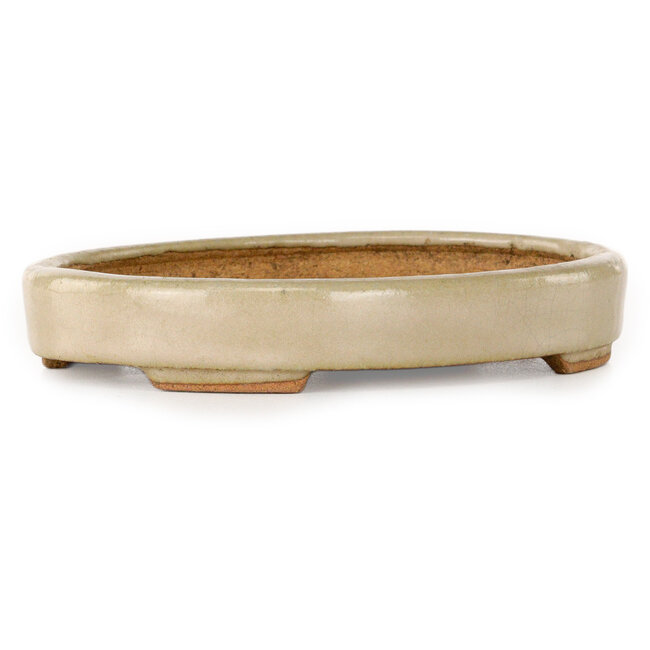 Maceta ovalada para bonsái en color blanco roto de Hattori - 140 x 107 x 23 mm