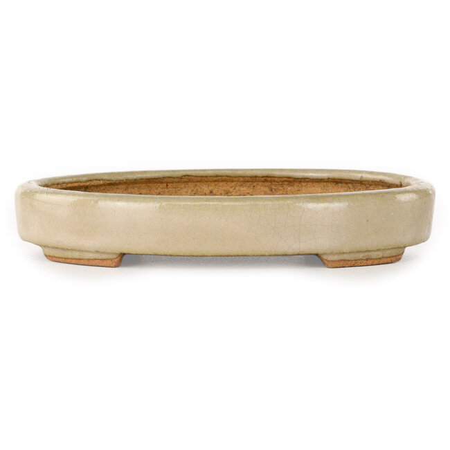 Oval off-white bonsai pot by Hattori - 140 x 107 x 23 mm