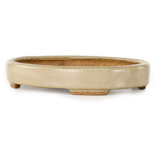 Ovaler, cremefarbener Bonsai-Topf von Hattori – 140 x 107 x 23 mm