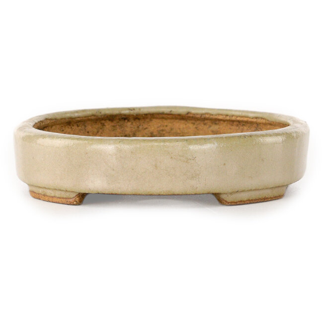 Ovaler, cremefarbener Bonsai-Topf von Hattori – 140 x 107 x 23 mm