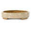 Pot à bonsaï ovale blanc cassé de Hattori - 140 x 107 x 23 mm