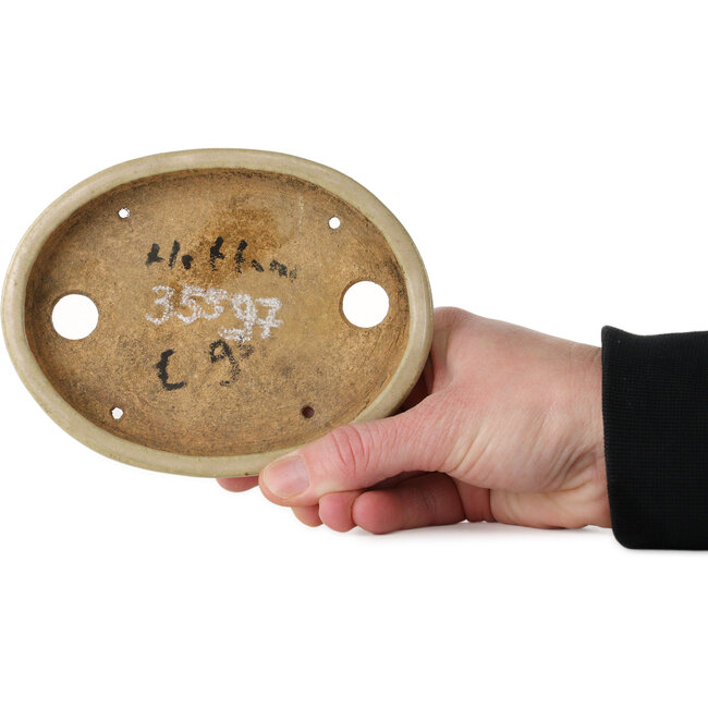 Pot à bonsaï ovale blanc cassé de Hattori - 140 x 107 x 23 mm