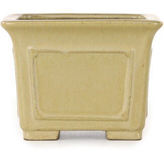  Shibakatsu (Katsuichi Shibata) Pot à bonsaï carré blanc cassé de 123 mm par Shibakatsu, Tokoname, Japon