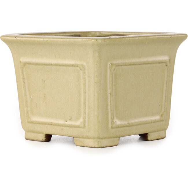 Maceta cuadrada para bonsái de color blanco roto de Shibakatsu - 123 x 123 x 90 mm