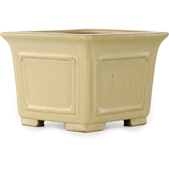 Maceta cuadrada para bonsái de color blanco roto de Shibakatsu - 123 x 123 x 90 mm