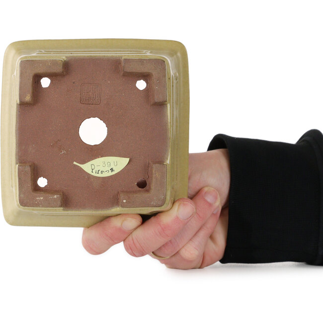 Vierkante, gebroken witte bonsaipot van Shibakatsu - 123 x 123 x 90 mm