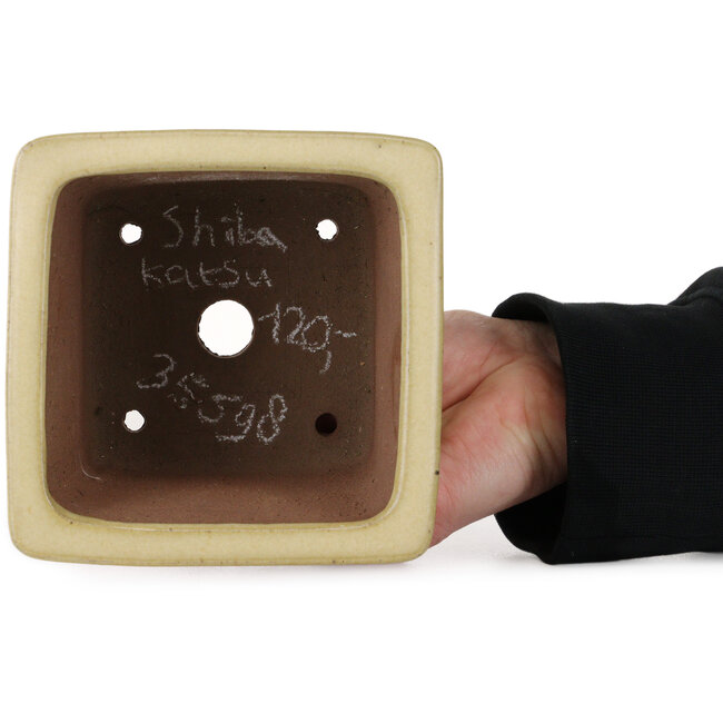 Square off-white bonsai pot by Shibakatsu - 123 x 123 x 90 mm
