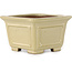 Pot à bonsaï carré blanc cassé de Shibakatsu - 106 x 106 x 70 mm