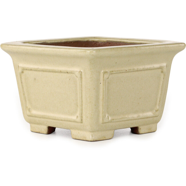 Maceta cuadrada para bonsái en color blanco roto de Shibakatsu - 106 x 106 x 70 mm