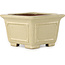 Pot à bonsaï carré blanc cassé de Shibakatsu - 106 x 106 x 70 mm
