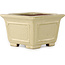 Vaso bonsai quadrato bianco sporco di Shibakatsu - 106 x 106 x 70 mm