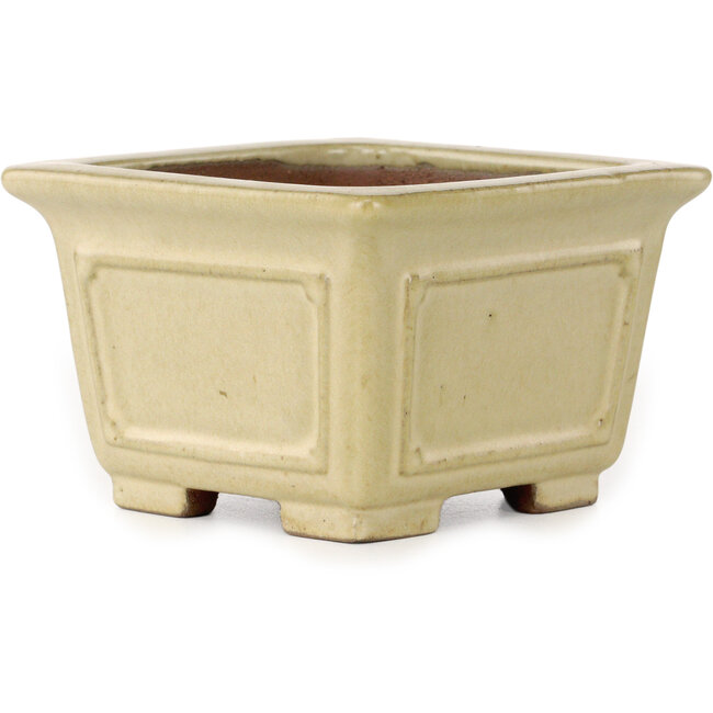 Maceta cuadrada para bonsái en color blanco roto de Shibakatsu - 106 x 106 x 70 mm