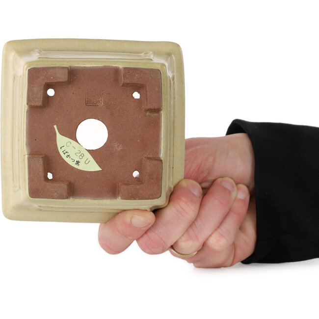 Vaso bonsai quadrato bianco sporco di Shibakatsu - 106 x 106 x 70 mm