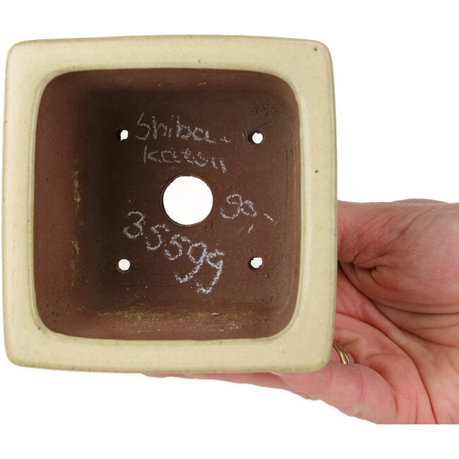 Pot à bonsaï carré blanc cassé de Shibakatsu - 106 x 106 x 70 mm
