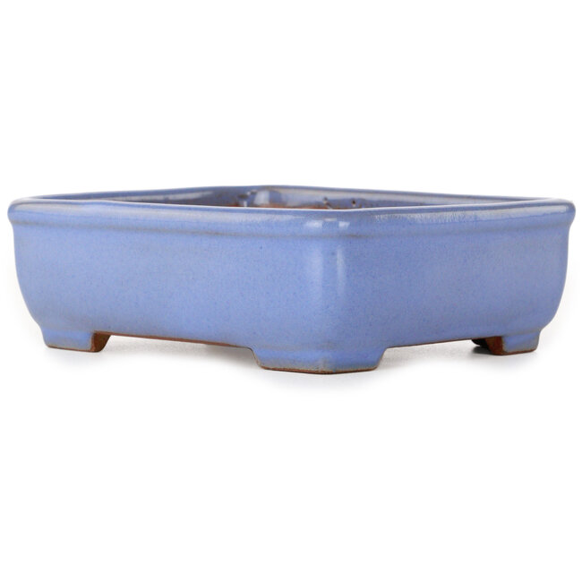 Rechteckiger blauer Bonsai-Topf von Yamafusa – 135 x 110 x 42 mm