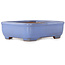 Vaso bonsai rettangolare blu di Yamafusa - 135 x 110 x 42 mm