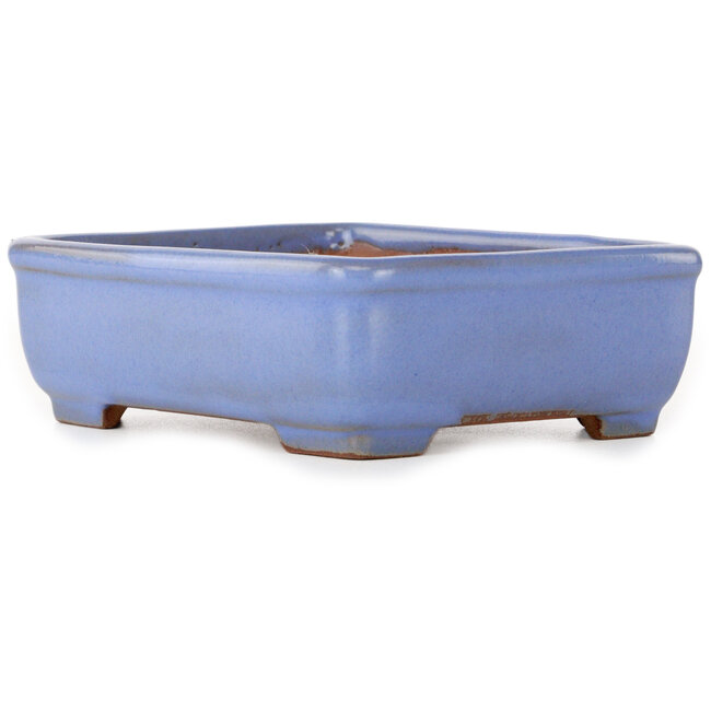 Vaso bonsai rettangolare blu di Yamafusa - 135 x 110 x 42 mm