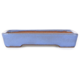  Yamafusa - Takehiko Koie Maceta rectangular azul para bonsái de 162 mm de Yamafusa, Tokoname, Japón