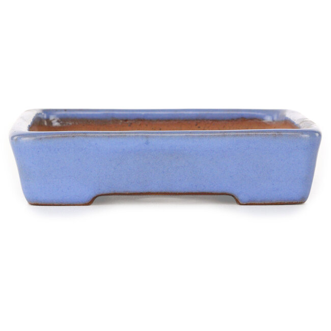 Vaso bonsai rettangolare blu di Yamafusa - 162 x 128 x 30 mm