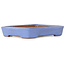 Vaso bonsai rettangolare blu di Yamafusa - 162 x 128 x 30 mm