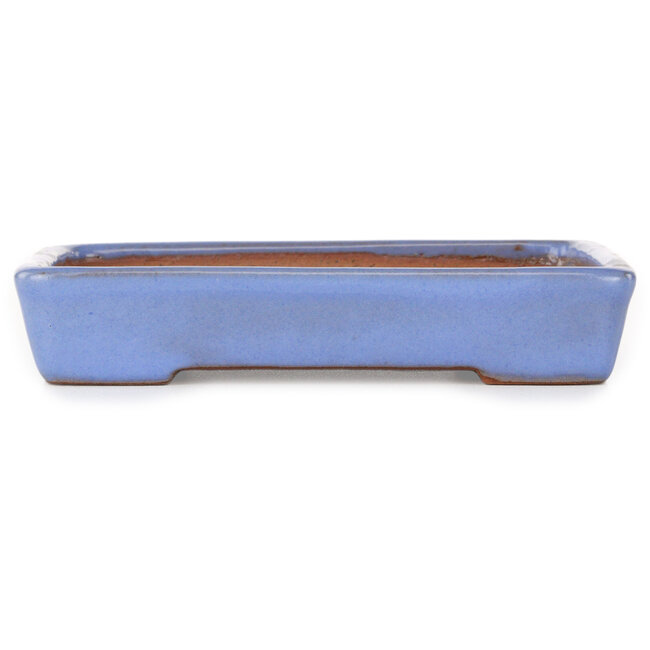 Pot à bonsaï rectangulaire bleu de Yamafusa - 162 x 128 x 30 mm