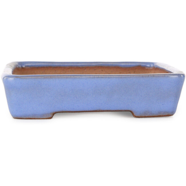 Vaso bonsai rettangolare blu di Yamafusa - 162 x 128 x 30 mm