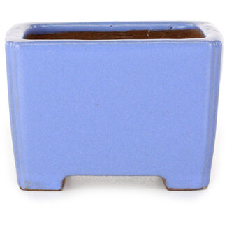  Shibakatsu (Katsuichi Shibata) Vierkante blauwe bonsaipot van 100 mm van Shibakatsu, Tokoname, Japan