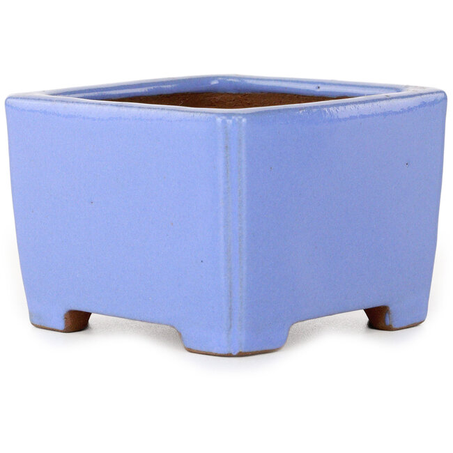 Maceta cuadrada azul para bonsái de Shibakatsu - 100 x 100 x 67 mm