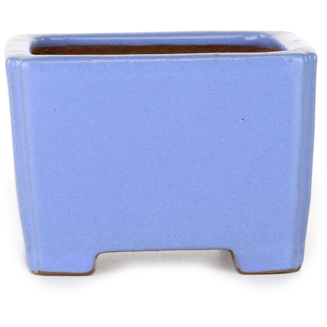 Square blue bonsai pot by Shibakatsu - 100 x 100 x 67 mm