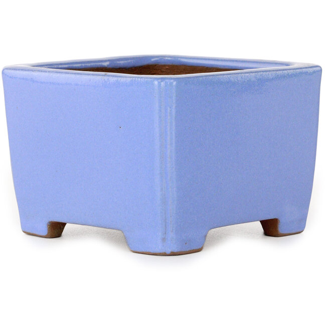 Square blue bonsai pot by Shibakatsu - 100 x 100 x 67 mm