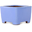 Pot à bonsaï carré bleu de Shibakatsu - 100 x 100 x 67 mm