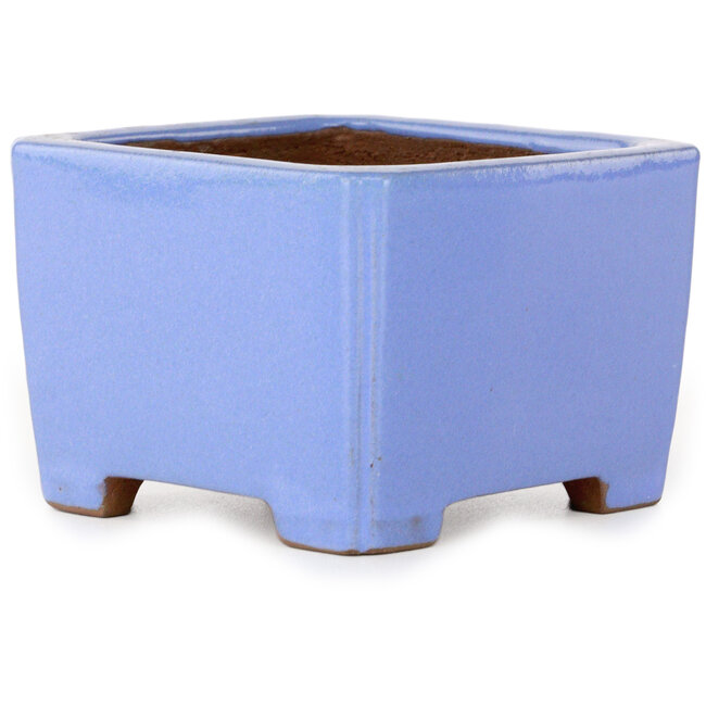 Maceta cuadrada azul para bonsái de Shibakatsu - 100 x 100 x 67 mm