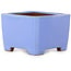 Vaso bonsai quadrato blu di Shibakatsu - 100 x 100 x 67 mm